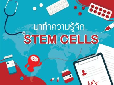 มาทำความรู้จัก STEM CELLS